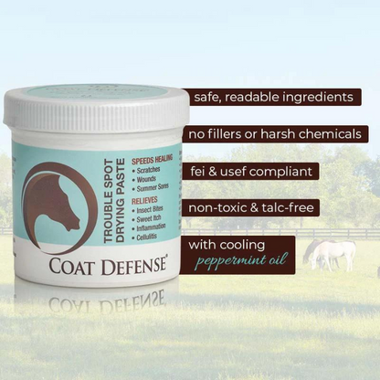 Coat Defense Trouble Spot Drying Paste, 10 oz