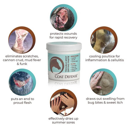 Coat Defense Trouble Spot Drying Paste,  24 oz
