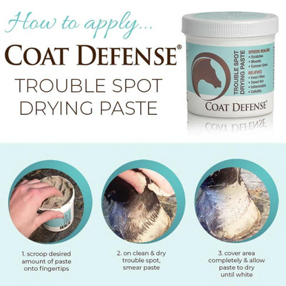 Coat Defense Trouble Spot Drying Paste, 10 oz