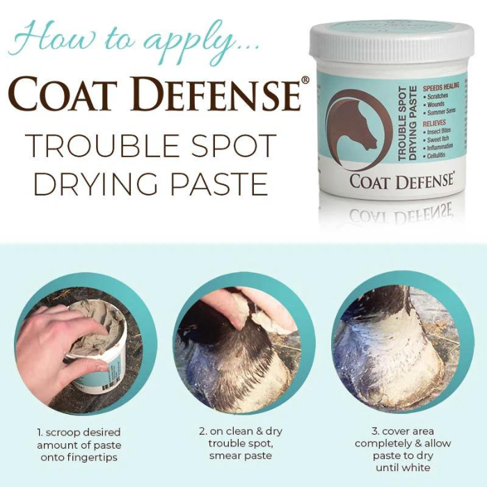 Coat Defense Trouble Spot Drying Paste,  24 oz