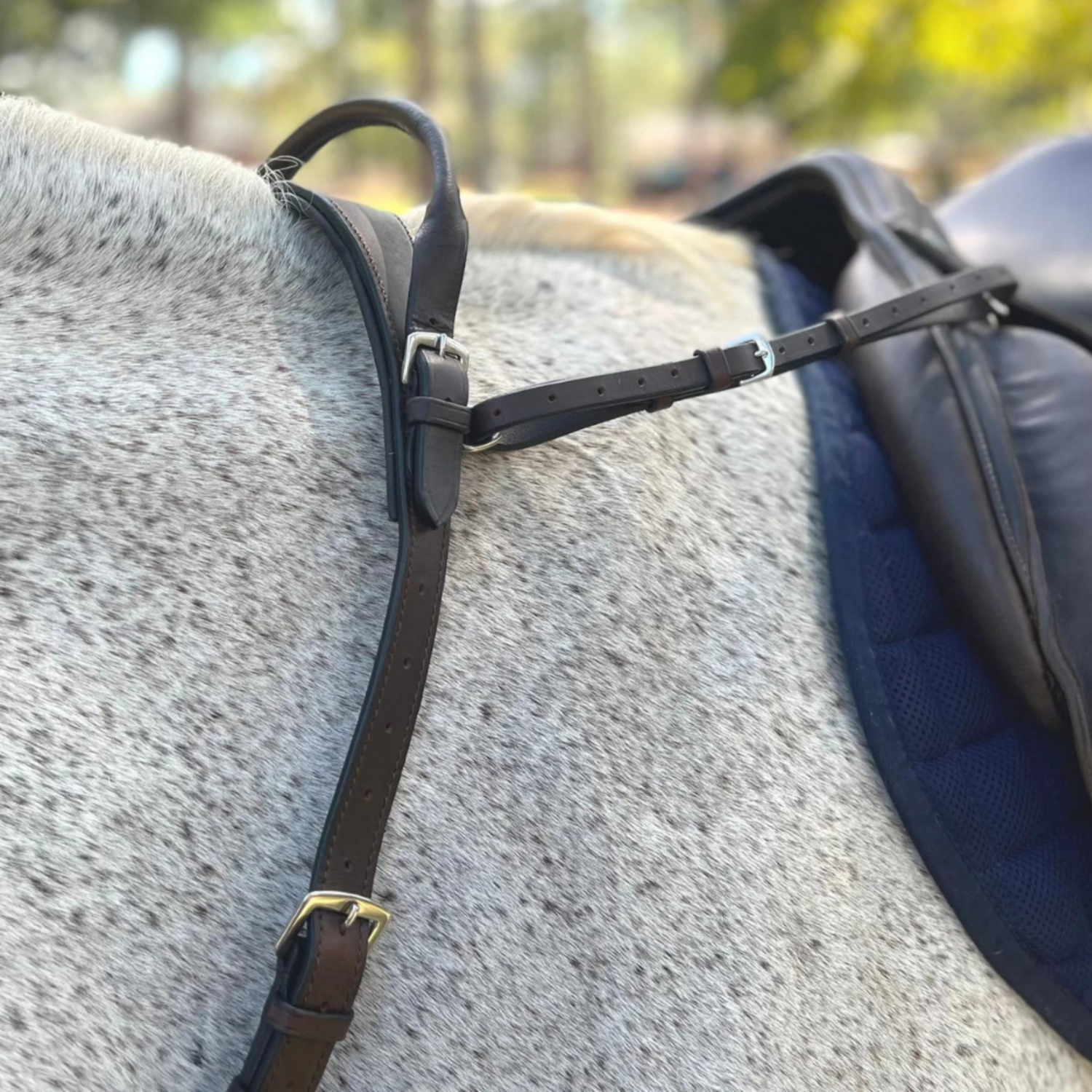 A brown double neck strap on a horse, showing the strap&
