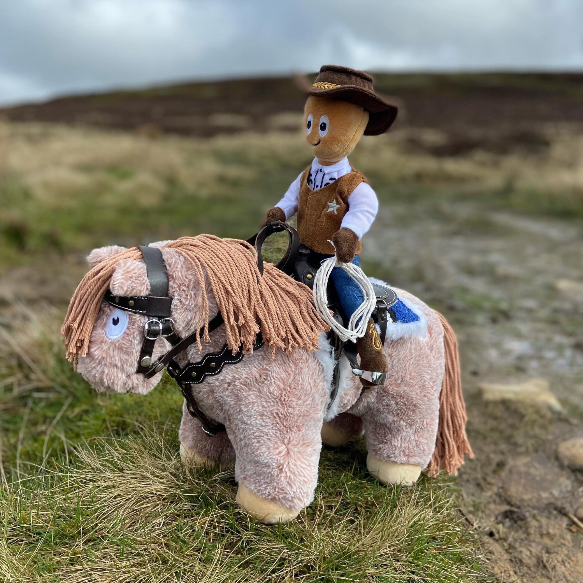 Crafty Ponies Clint the Cowboy Rider Doll