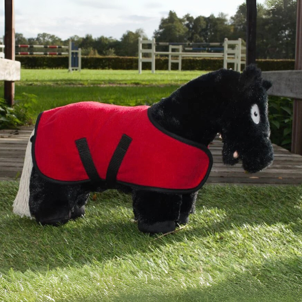Crafty Ponies Fleece Rug &amp; Booklet