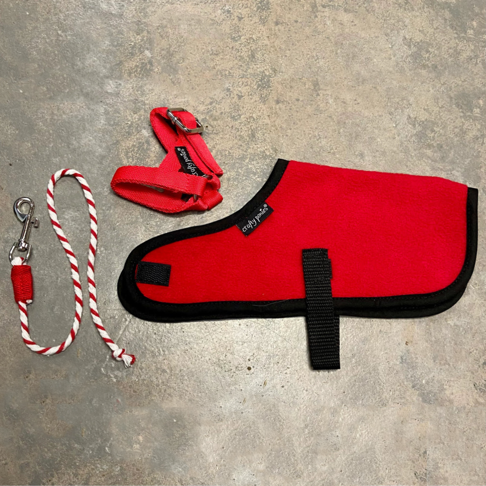 Crafty Ponies Foal Fleece Rug Set &amp; Booklets