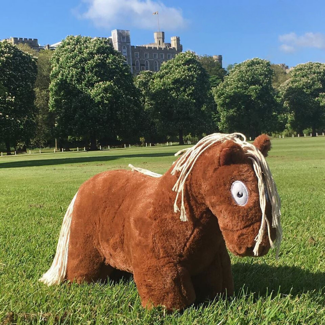 Crafty Pony with Passport Booklet