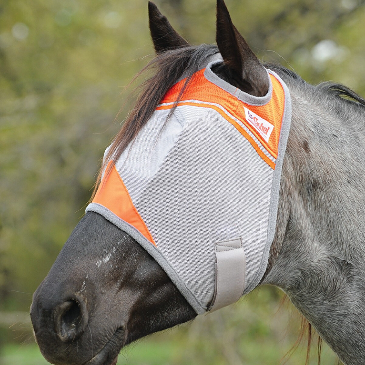 Crusader Standard Fly Mask, Orange