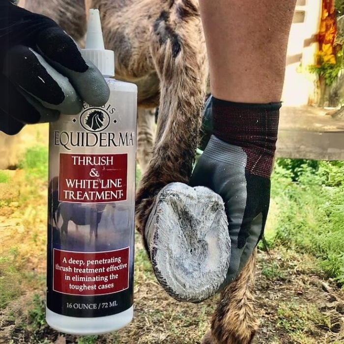 Equiderma Thrush and White Line Treatment, 16oz