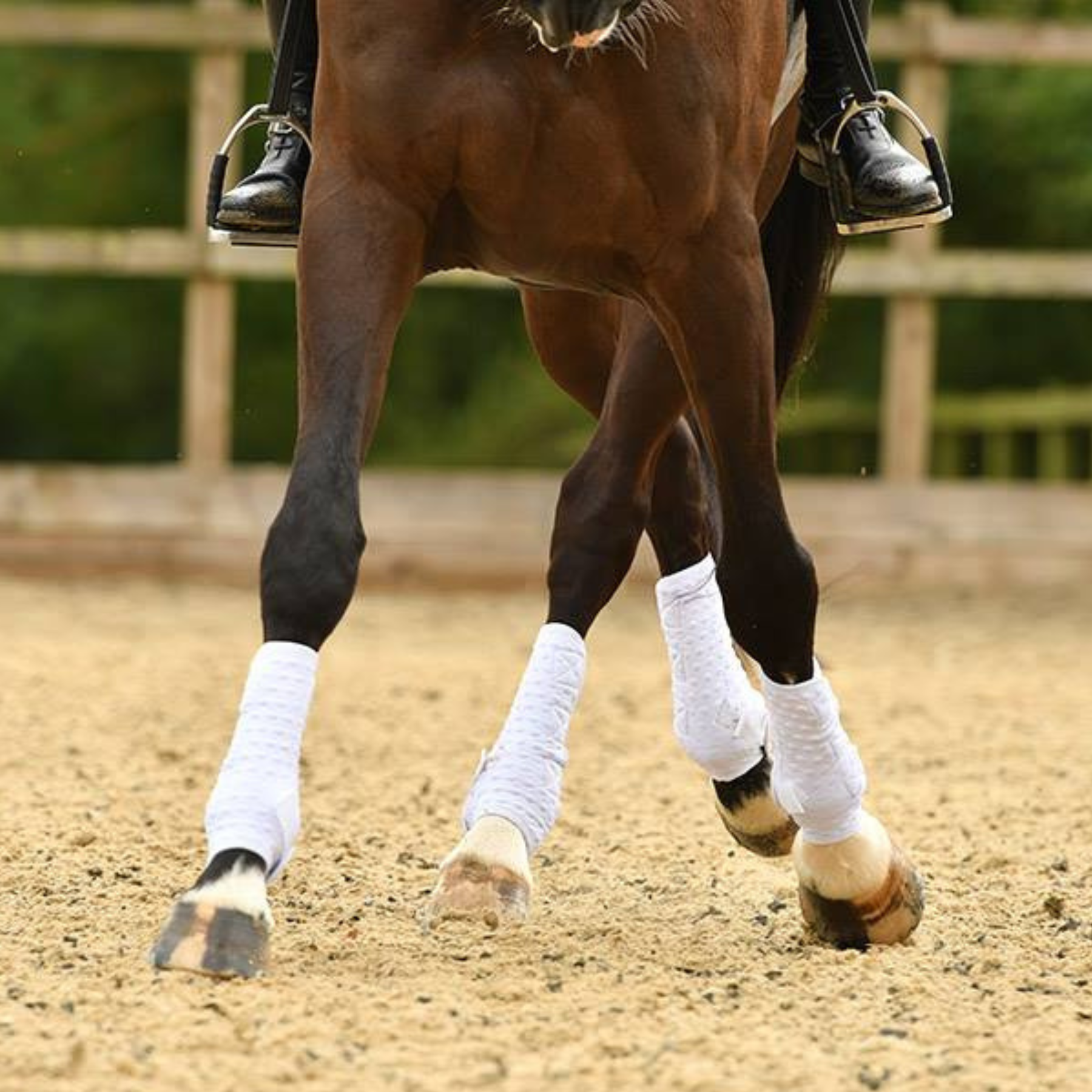 Equilibrium NEW Stretch & Flex™ Flatwork Wraps