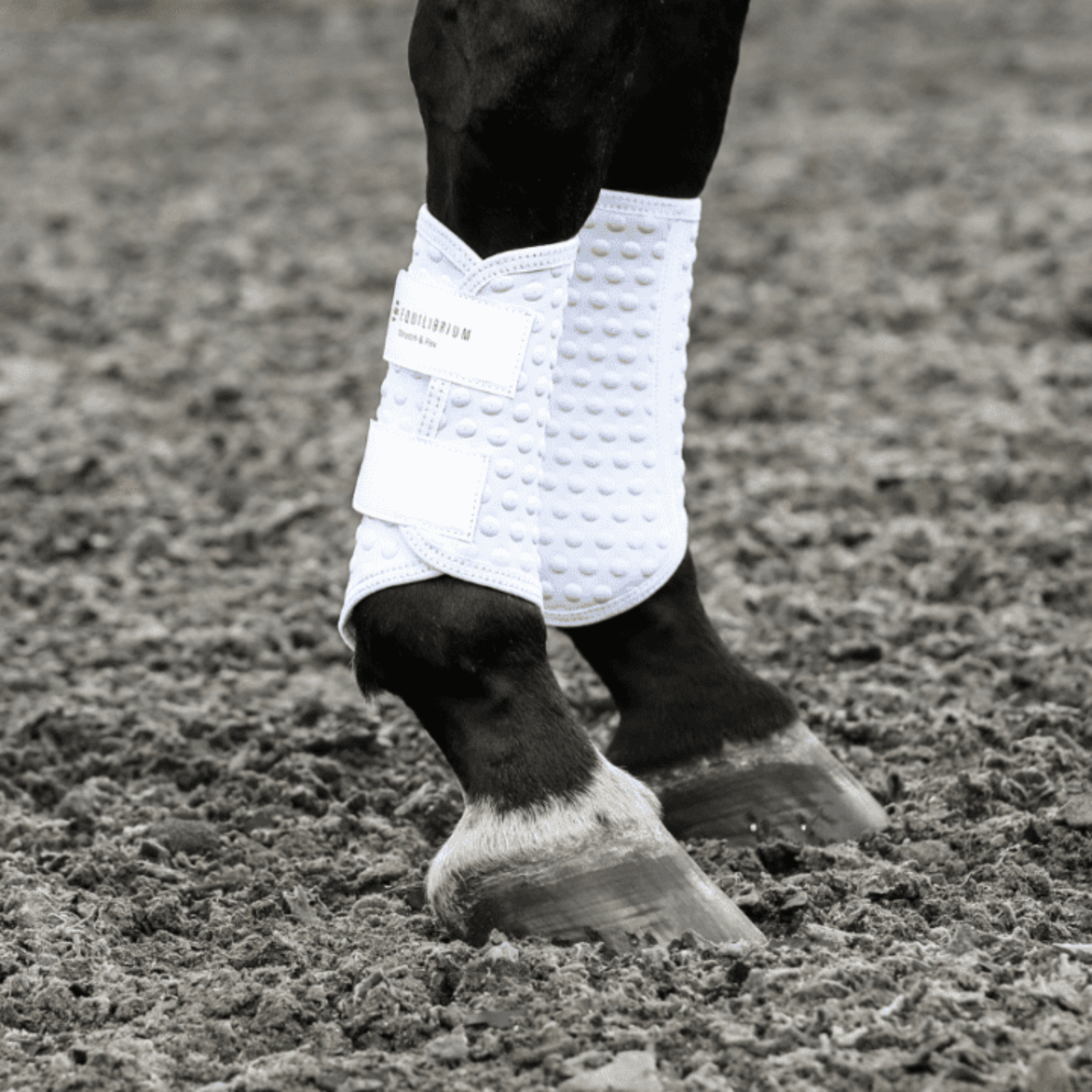 Equilibrium NEW Stretch & Flex™ Flatwork Wraps