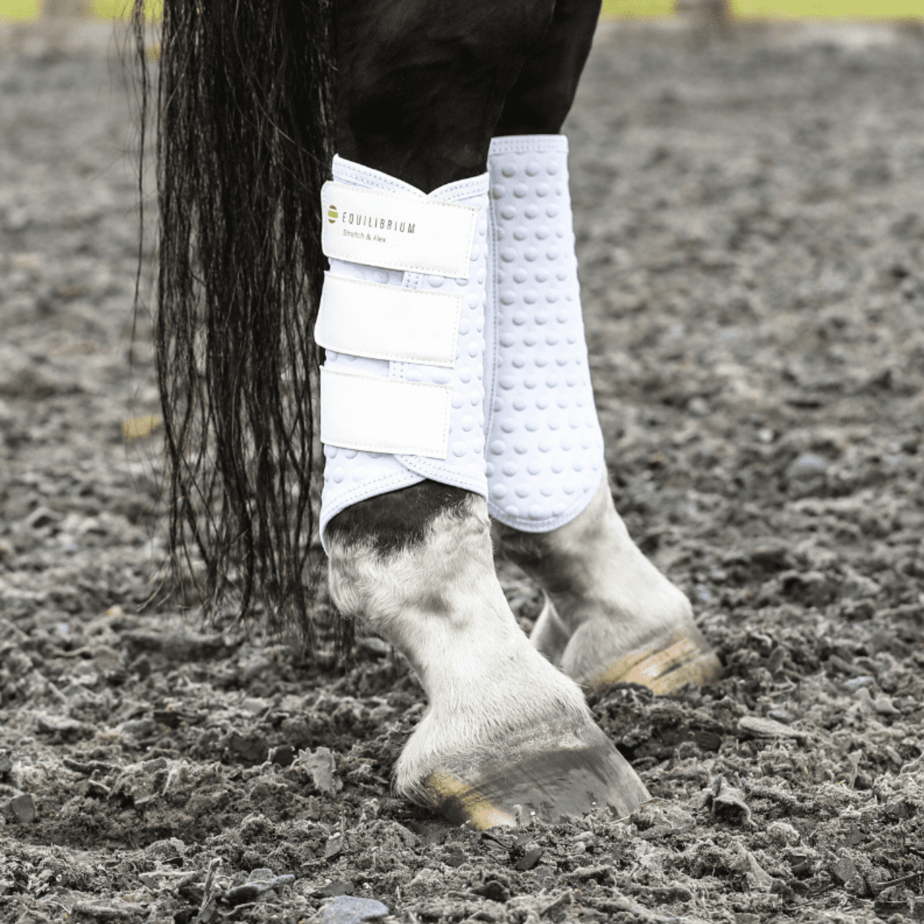 Equilibrium NEW Stretch & Flex™ Flatwork Wraps