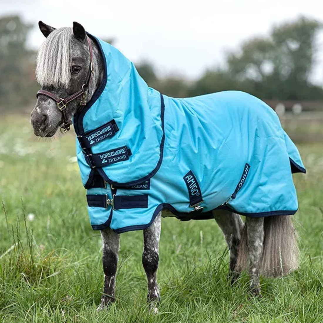 Turnout Sheets & Blankets