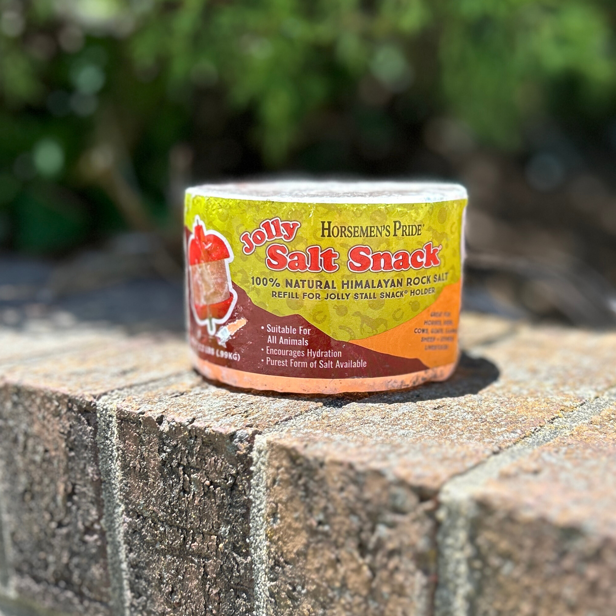 Jolly Stall Snack Refill, Himalayan Rock Salt