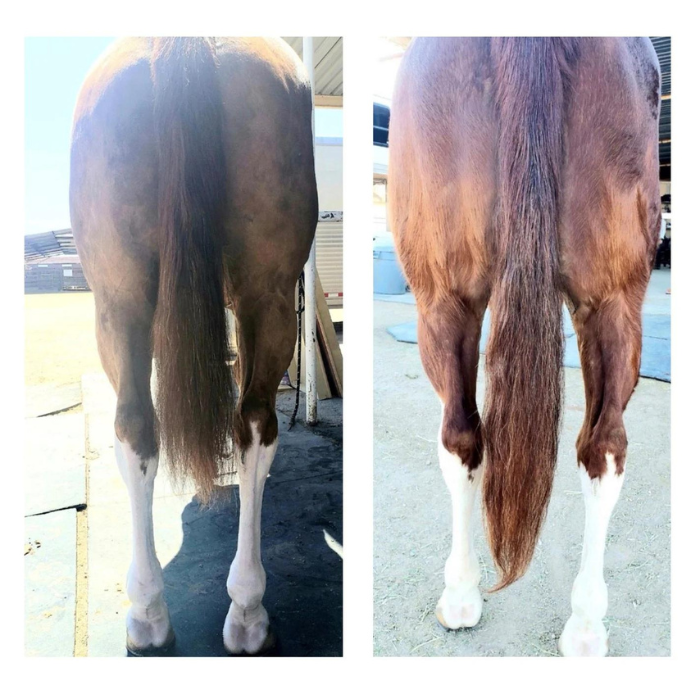 Horse Guard Hoof &amp; Hair, 10lb
