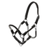 Product image of Kavalkade&
