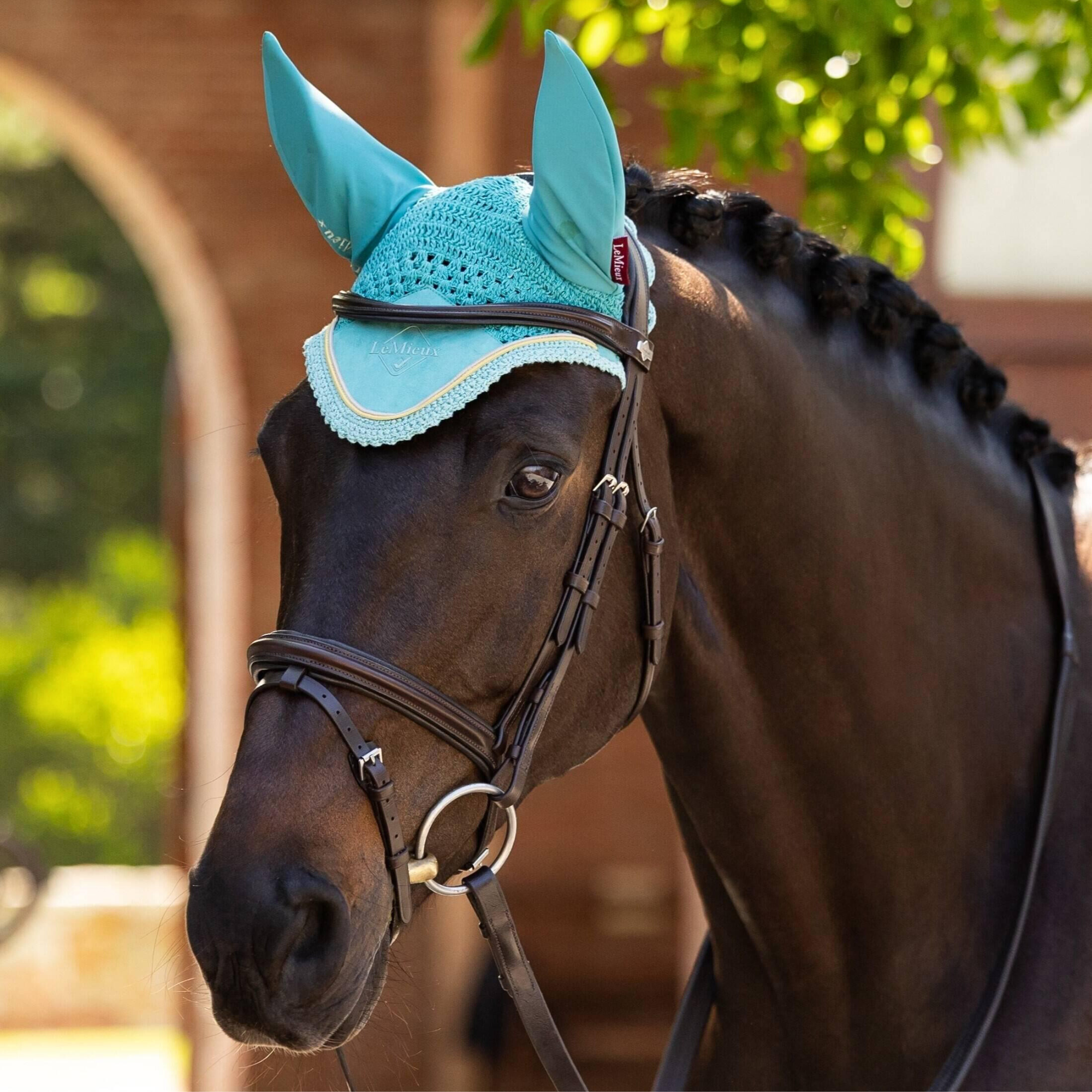 Close up lifestyle image of a bay horse wearing LeMieux&