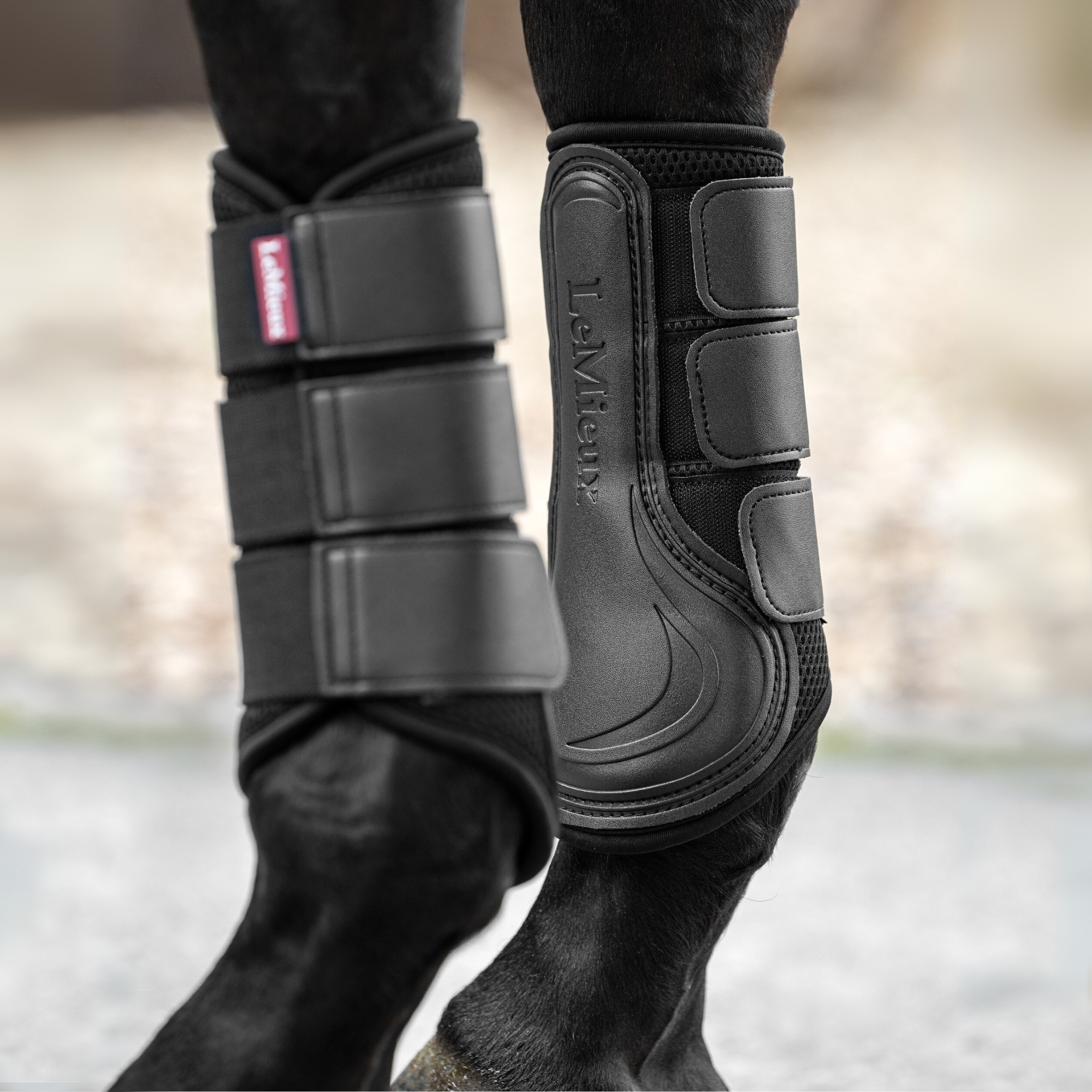 LeMieux Mesh Brushing Boots, Black