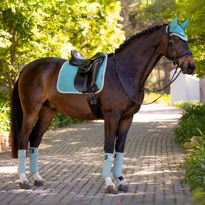 Lifestyle image of a bay horse wearing LeMieux&