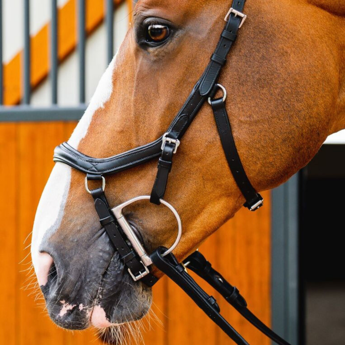 Rambo Micklem 2 Deluxe Competition Bridle