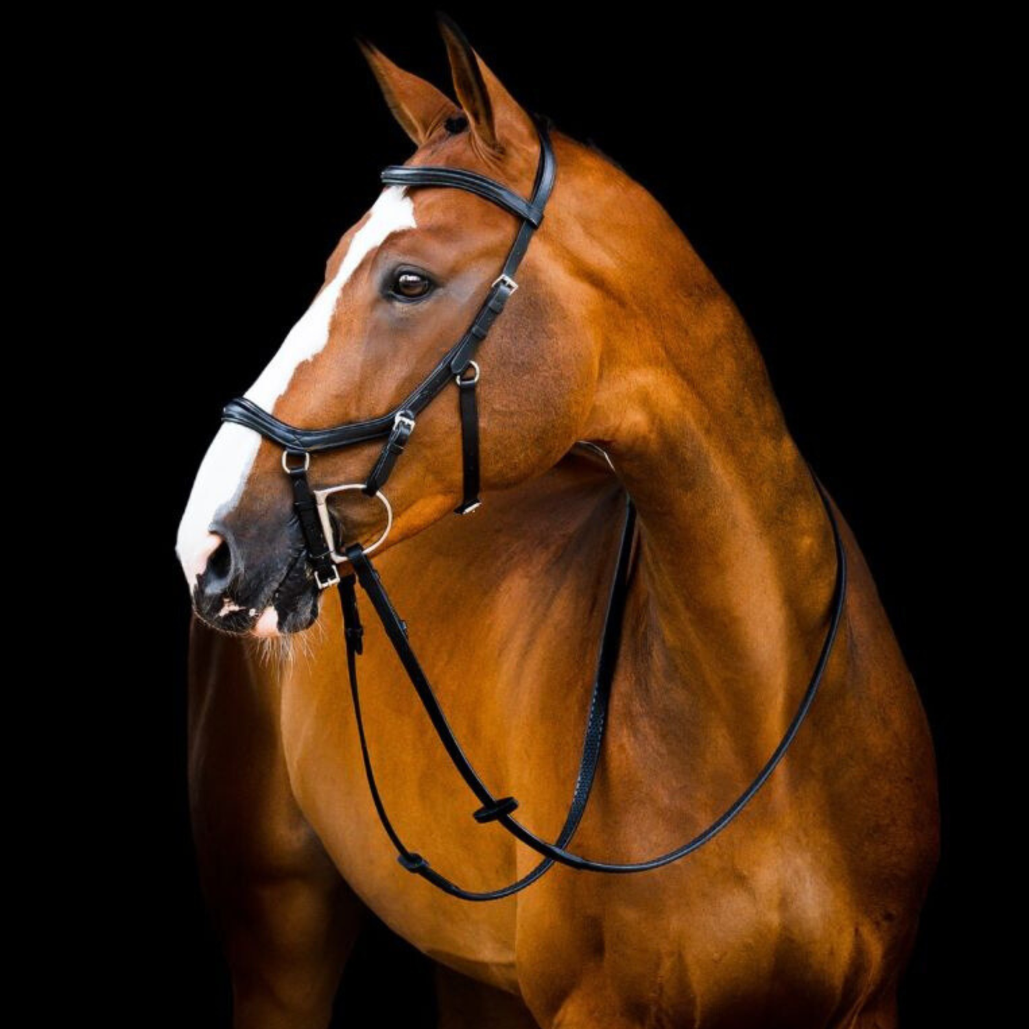 Rambo Micklem 2 Deluxe Competition Bridle