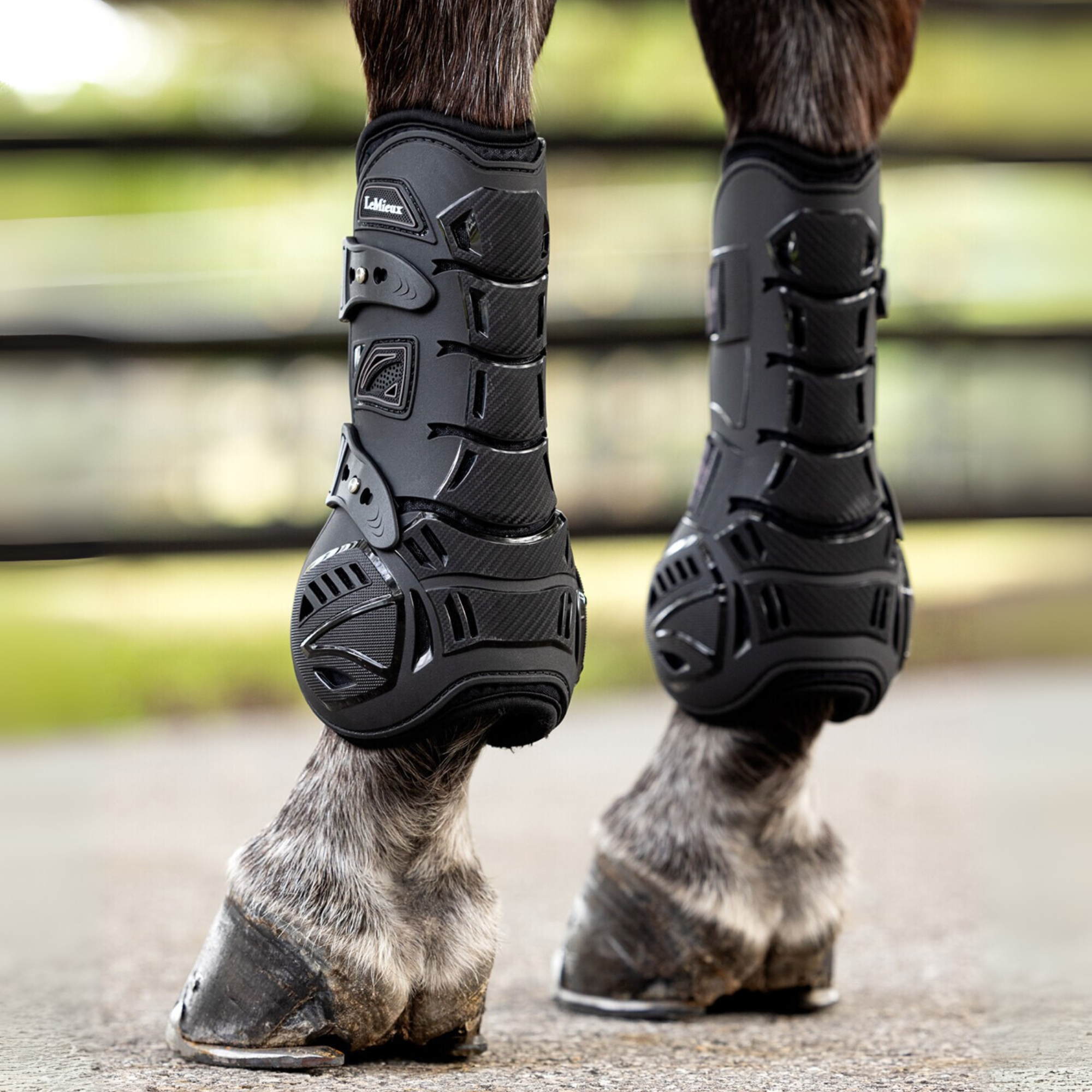 LeMieux Motioncool Tendon Boots, Black