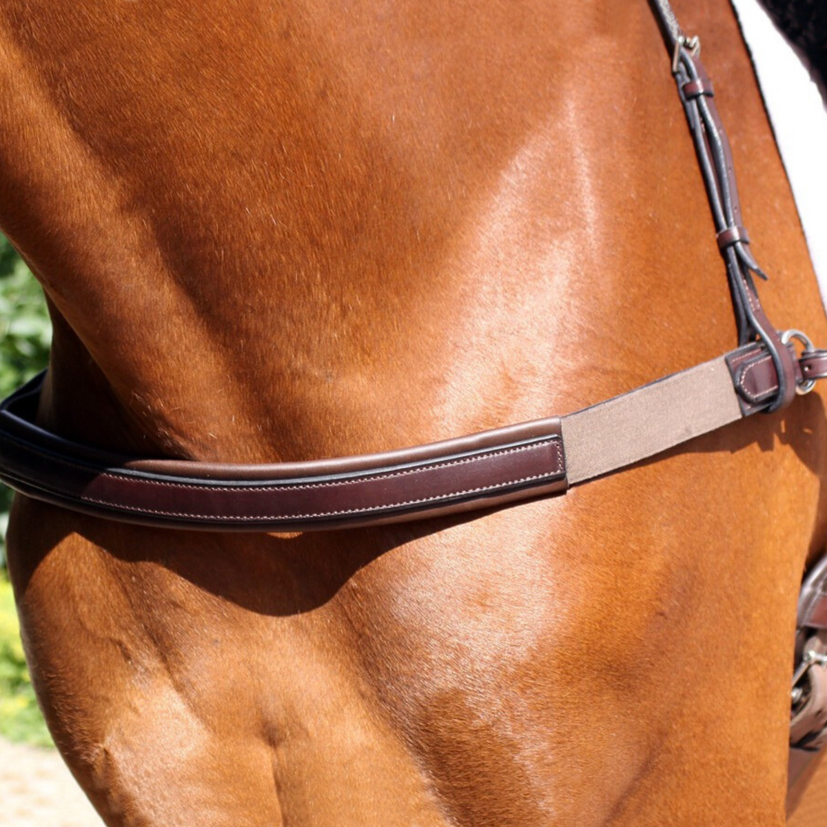 Close-up image of a brown horse wearing a brown Nunn Finer Jumper Breastplate, which is a piece of horse tack used for controlling the position of the saddle during strenuous riding events.