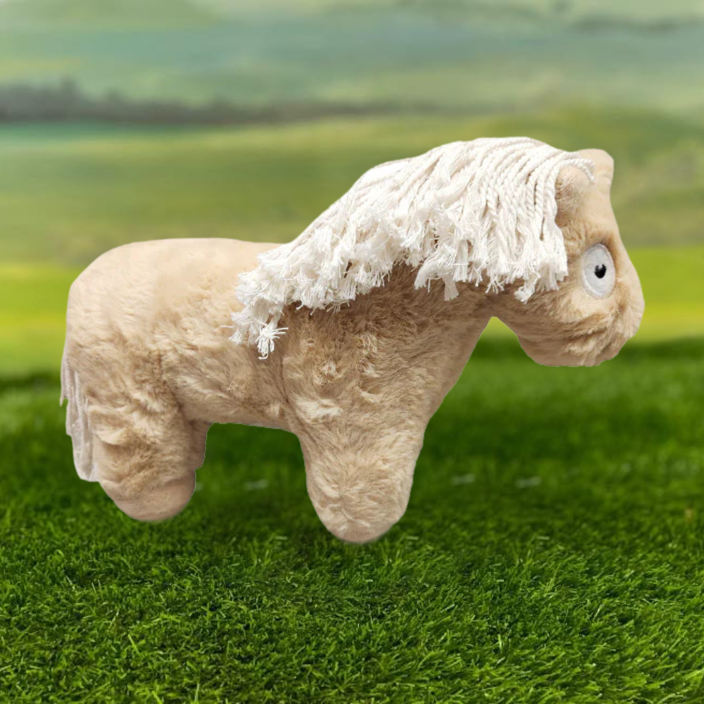 Crafty Pony Foal
