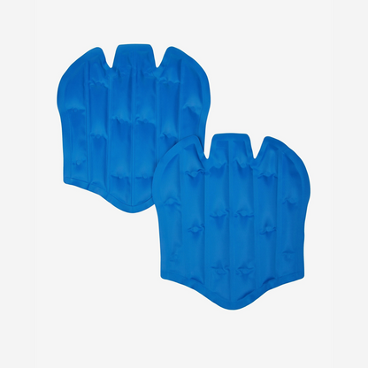 LeMieux ProIce Freeze Boots Gel Packs