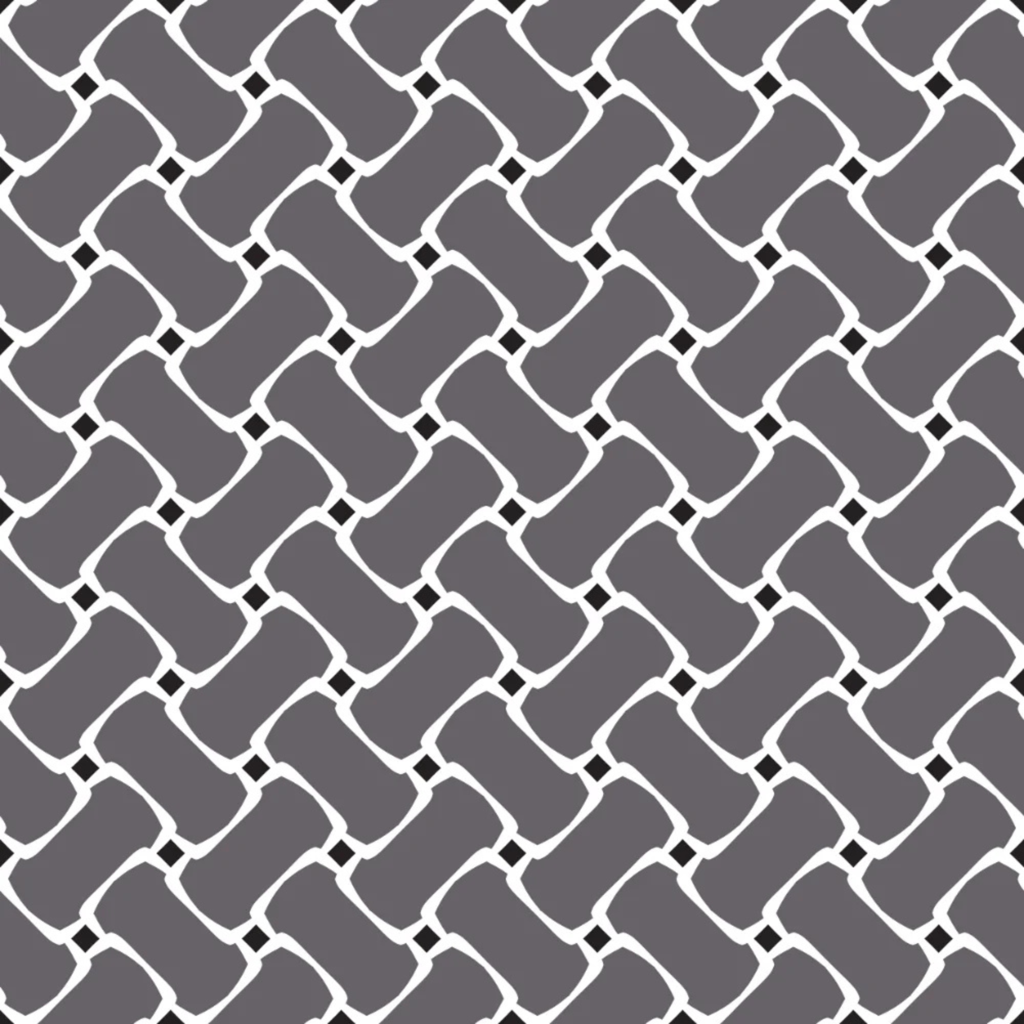 R.J. Classics Ladies Liv Show Shirt, Grey Weave