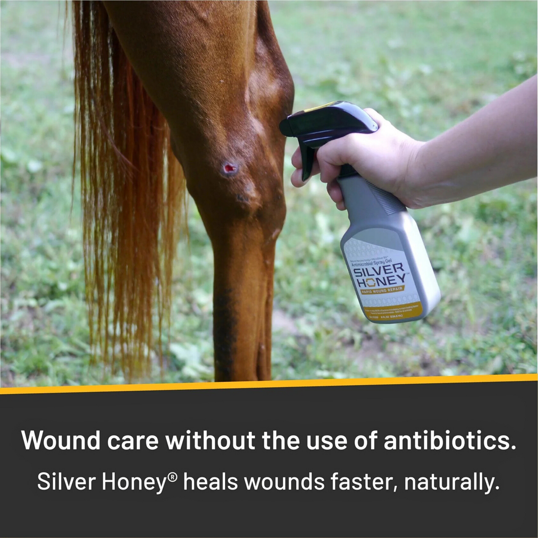 Silver Honey Rapid Wound Repair Spray Gel