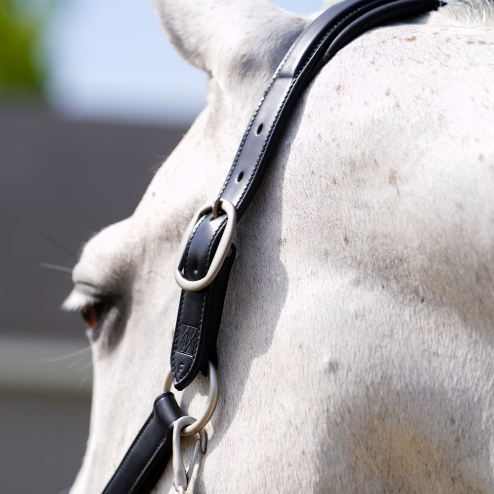 Red Barn Nina Halter