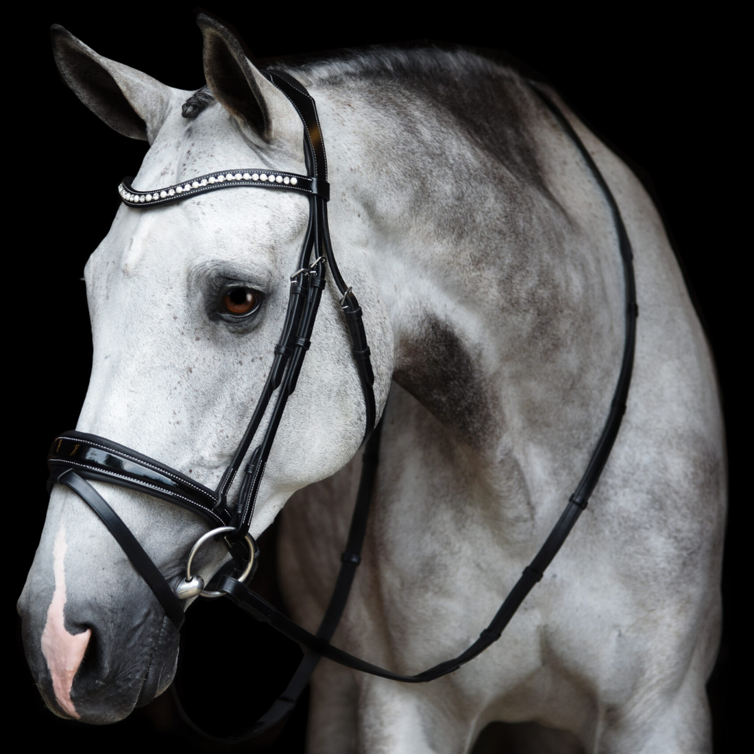 Red Barn Pace Dressage Patent Bridle