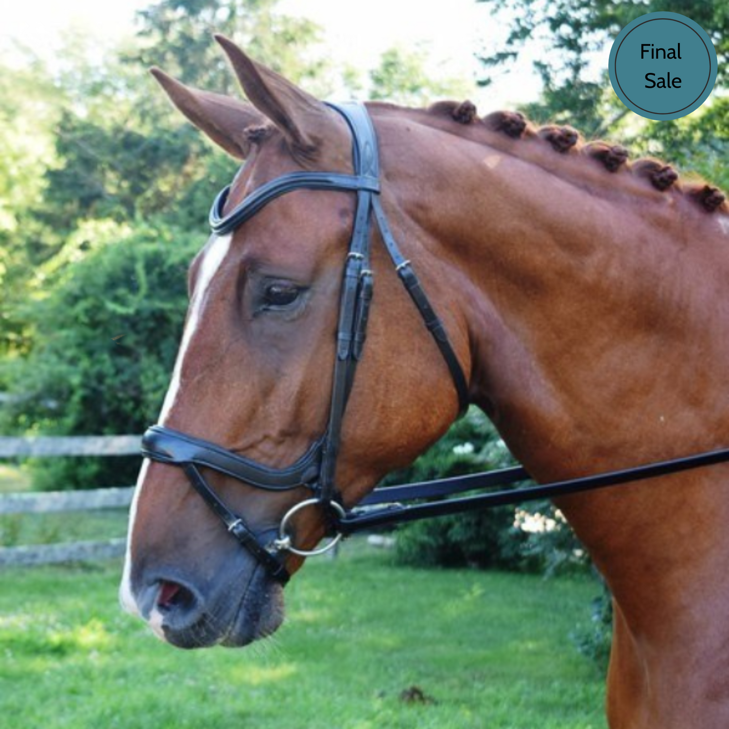 Red Barn Arena Ergonomic Bridle with Flash