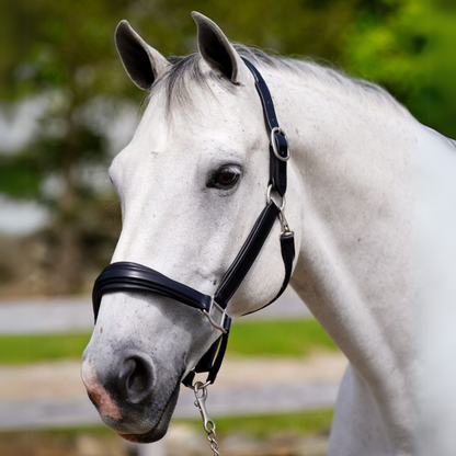 Red Barn Nina Halter