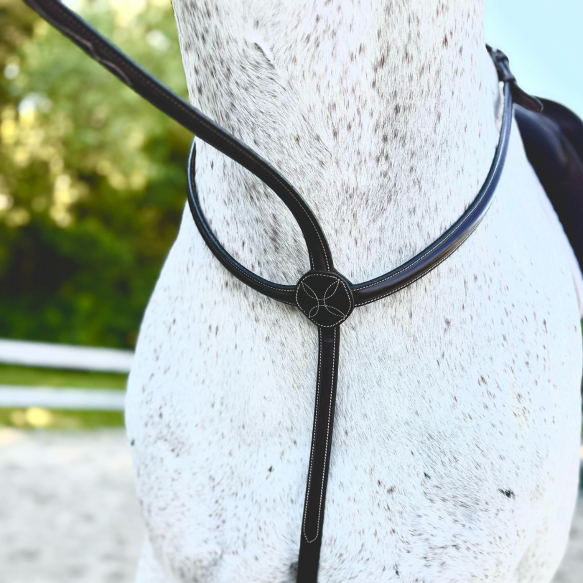 KL Select Red Barn Standing Martingale featuring a "Donut-free"  style. Matches all Red Barn Hunter Bridles.