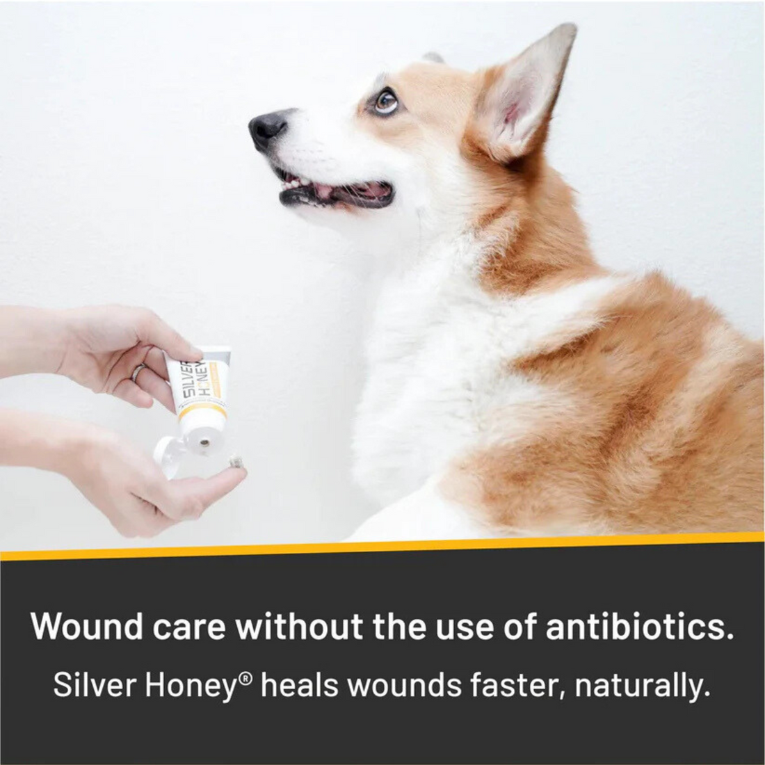 Silver Honey Hot Spot &amp; Wound Care, 2 oz