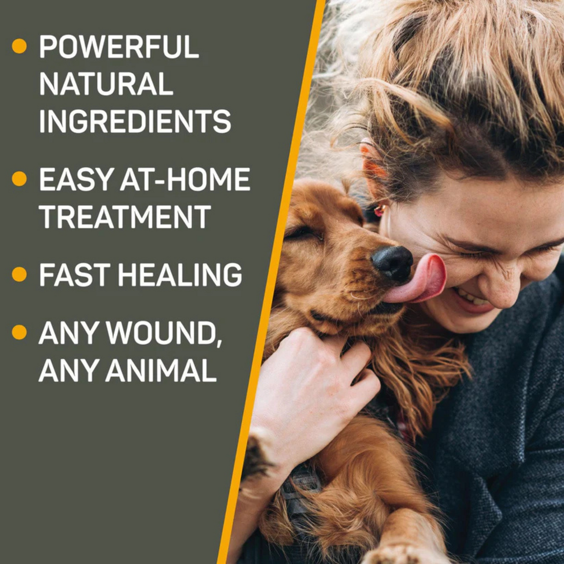 Silver Honey Hot Spot &amp; Wound Care, 2 oz