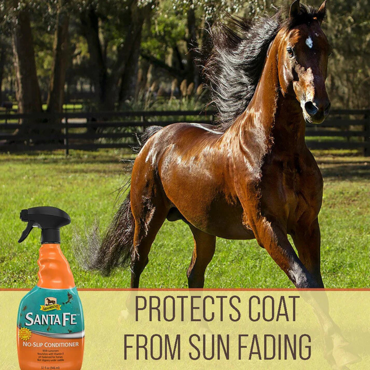 Horse running in a field with a Santa Fe no-slip conditioner bottle, text &