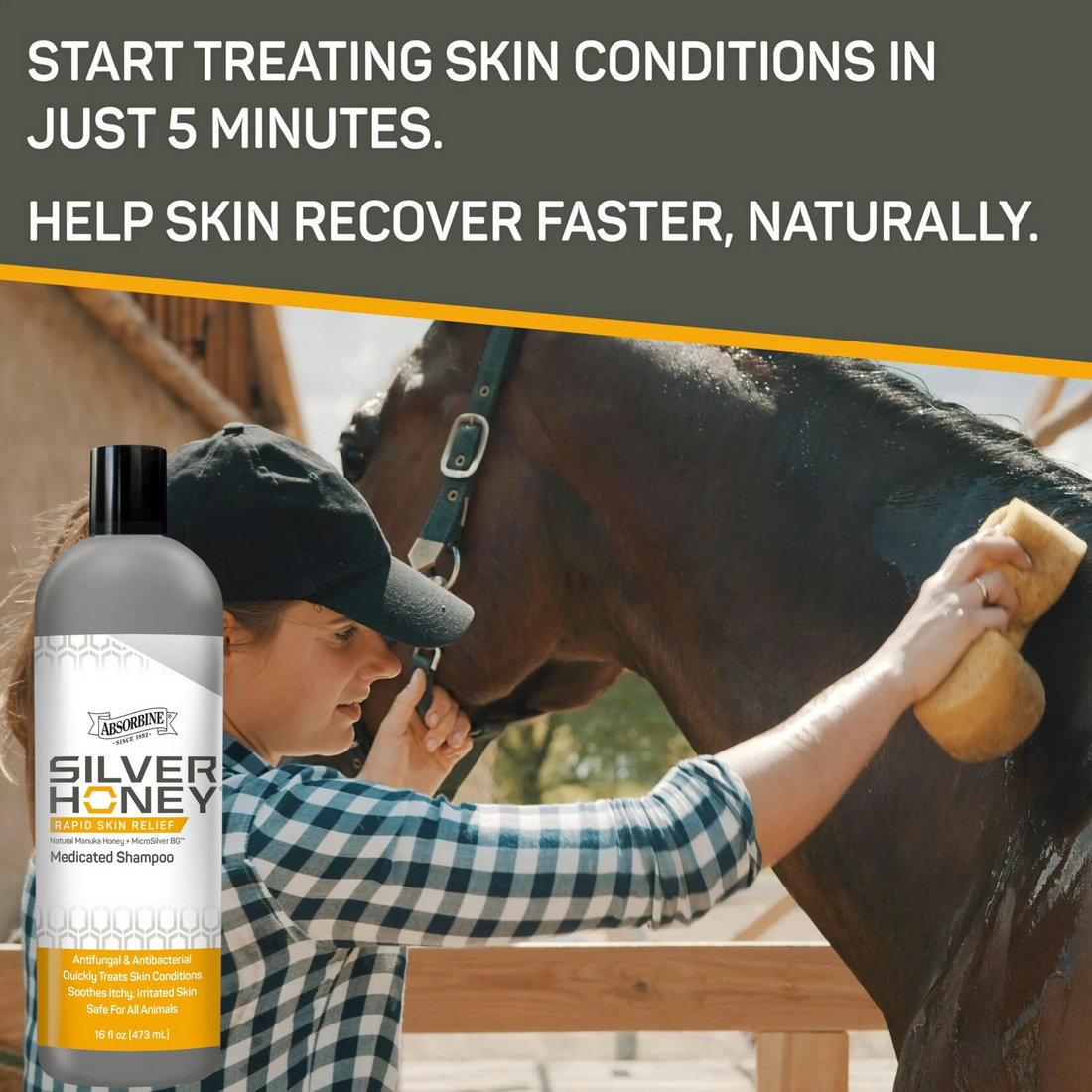 Silver Honey Rapid Skin Relief Medicated Shampoo, 16oz