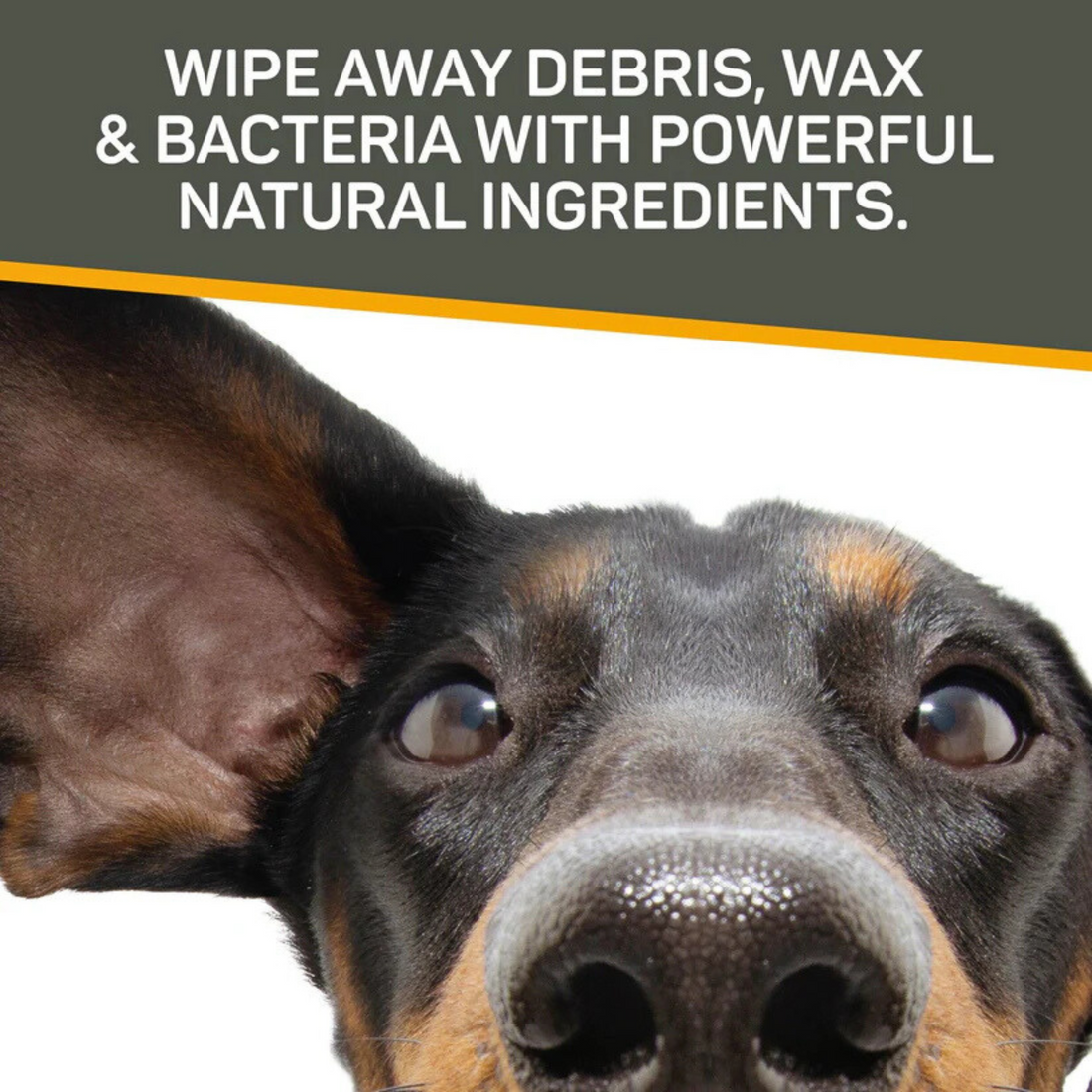 Silver Honey Pet Ear Wipes