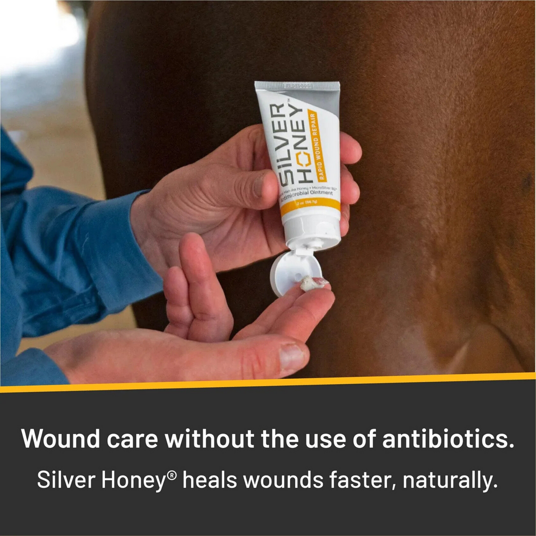 Silver Honey Rapid Wound Repair 2 oz
