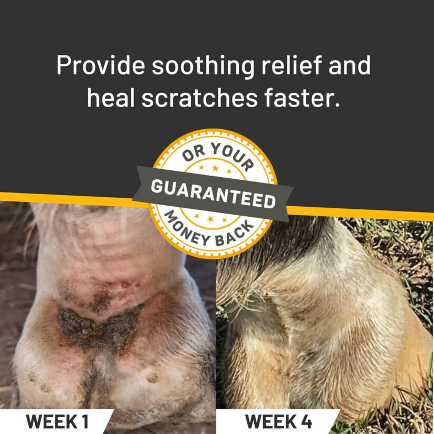 Silver Honey Scratches Spray