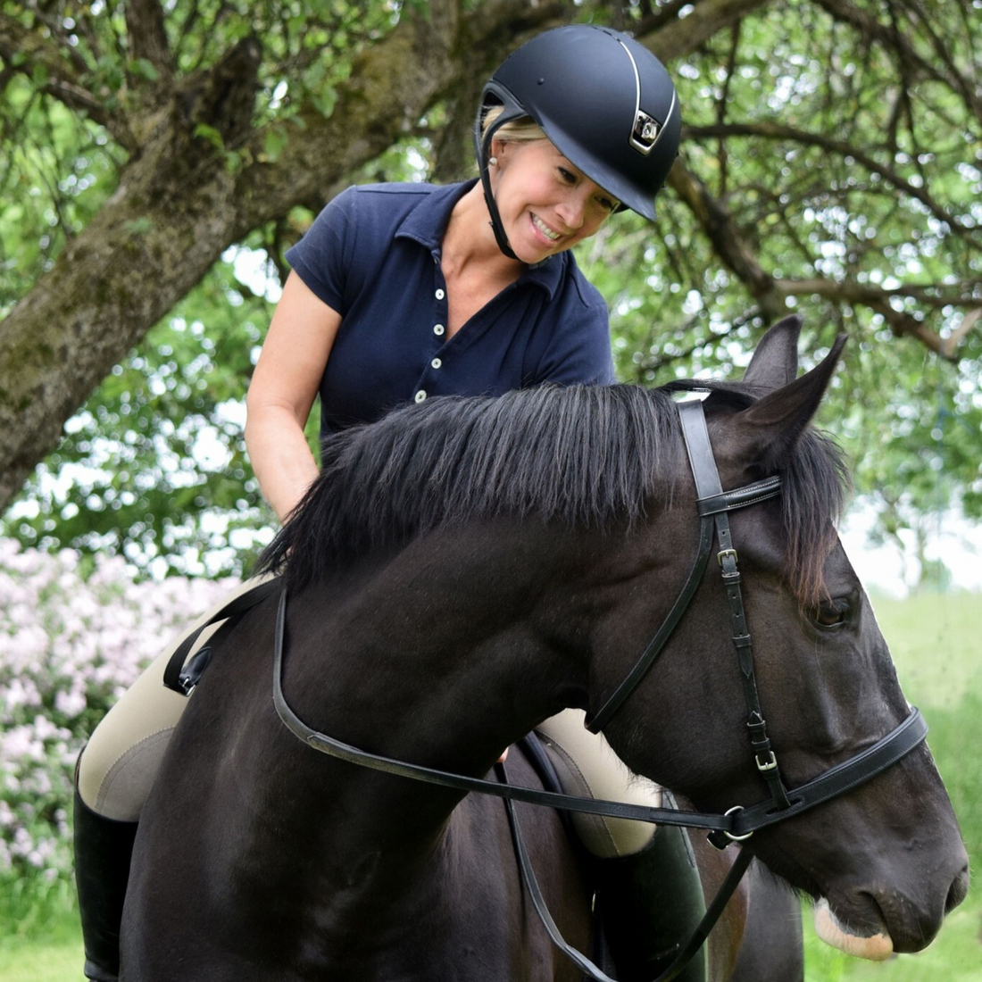 ThinLine EZ Harmony Bitless Noseband Bridle Converter