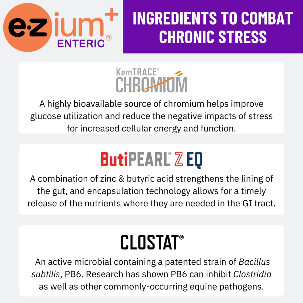 Ezium+ Enteric, Trial Pouch