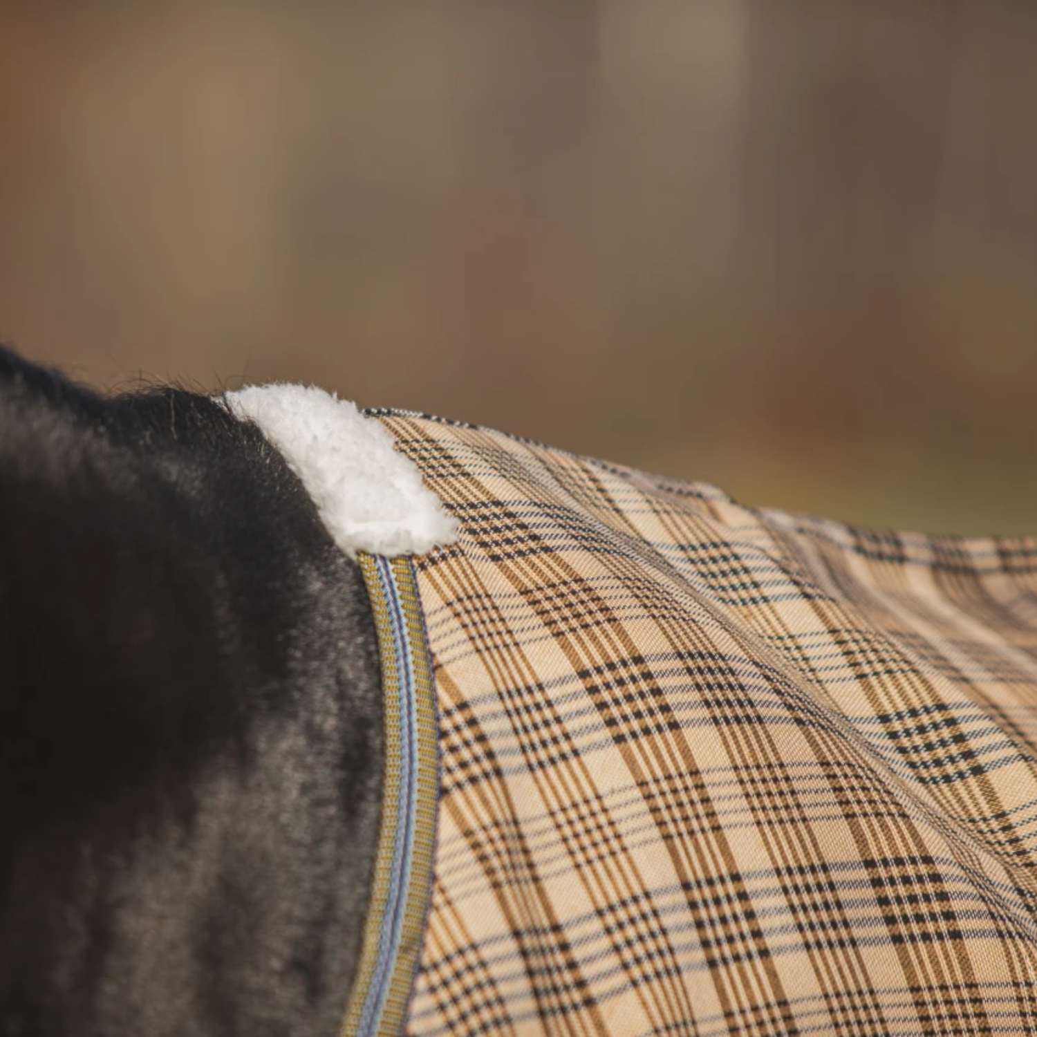 5/A Baker Deluxe Stable Sheet