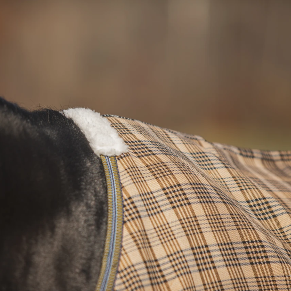 5/A Baker Deluxe Stable Sheet