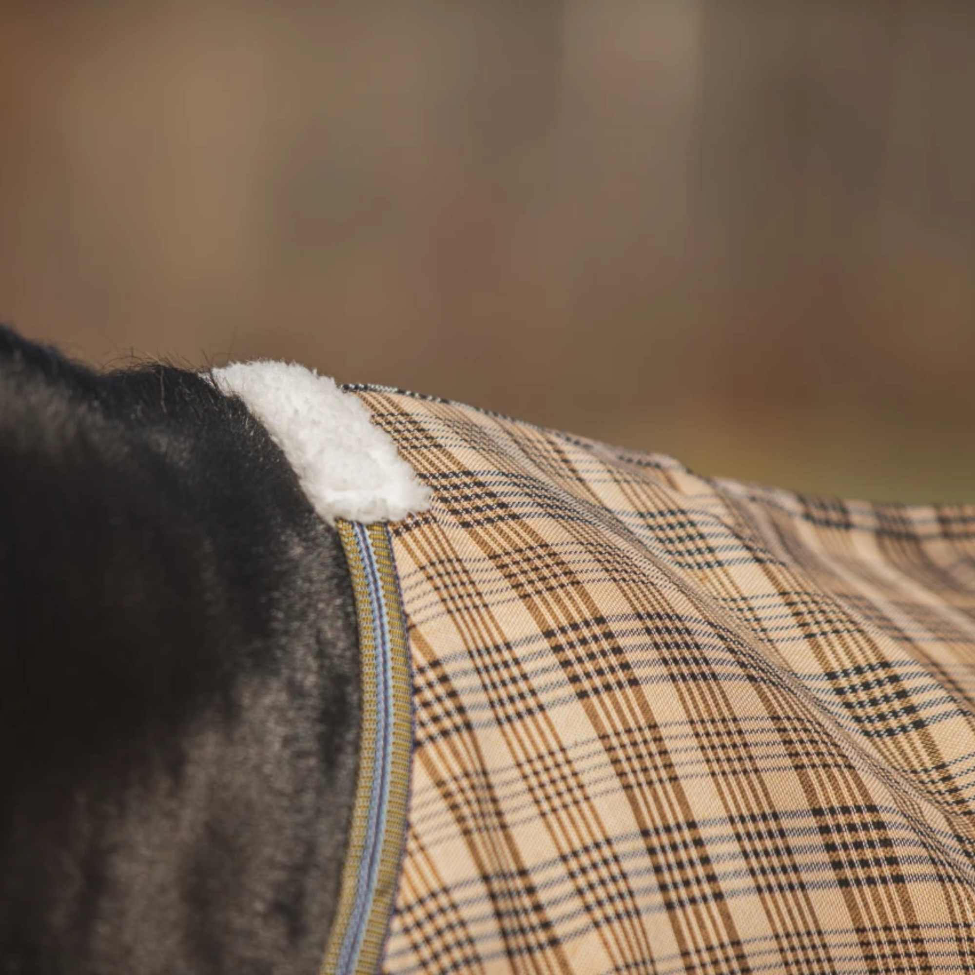 5/A Baker Deluxe Stable Sheet