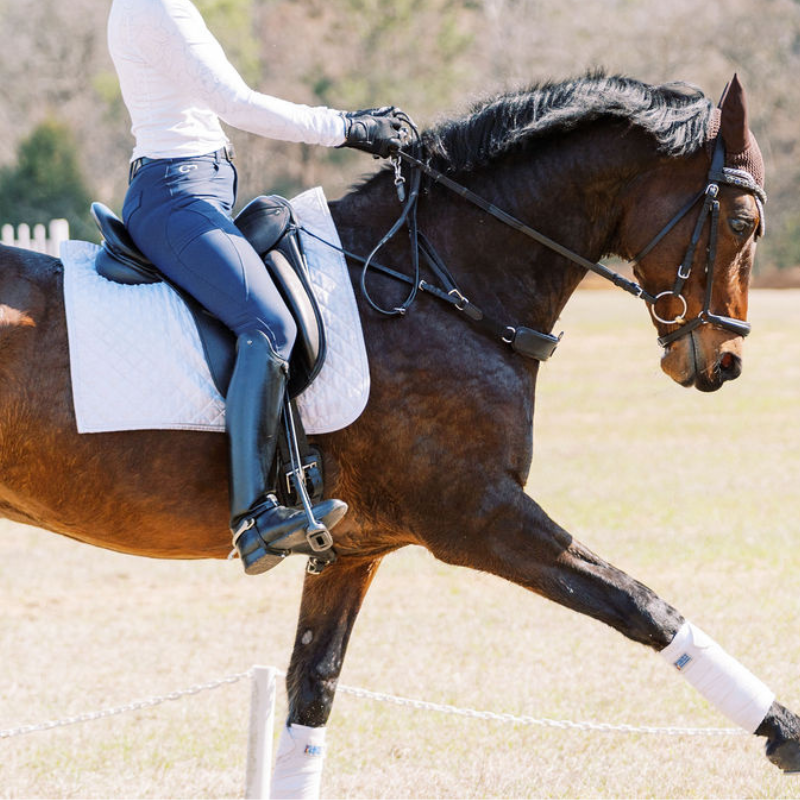 Correct Connect 3-in-1 Training Breastplate