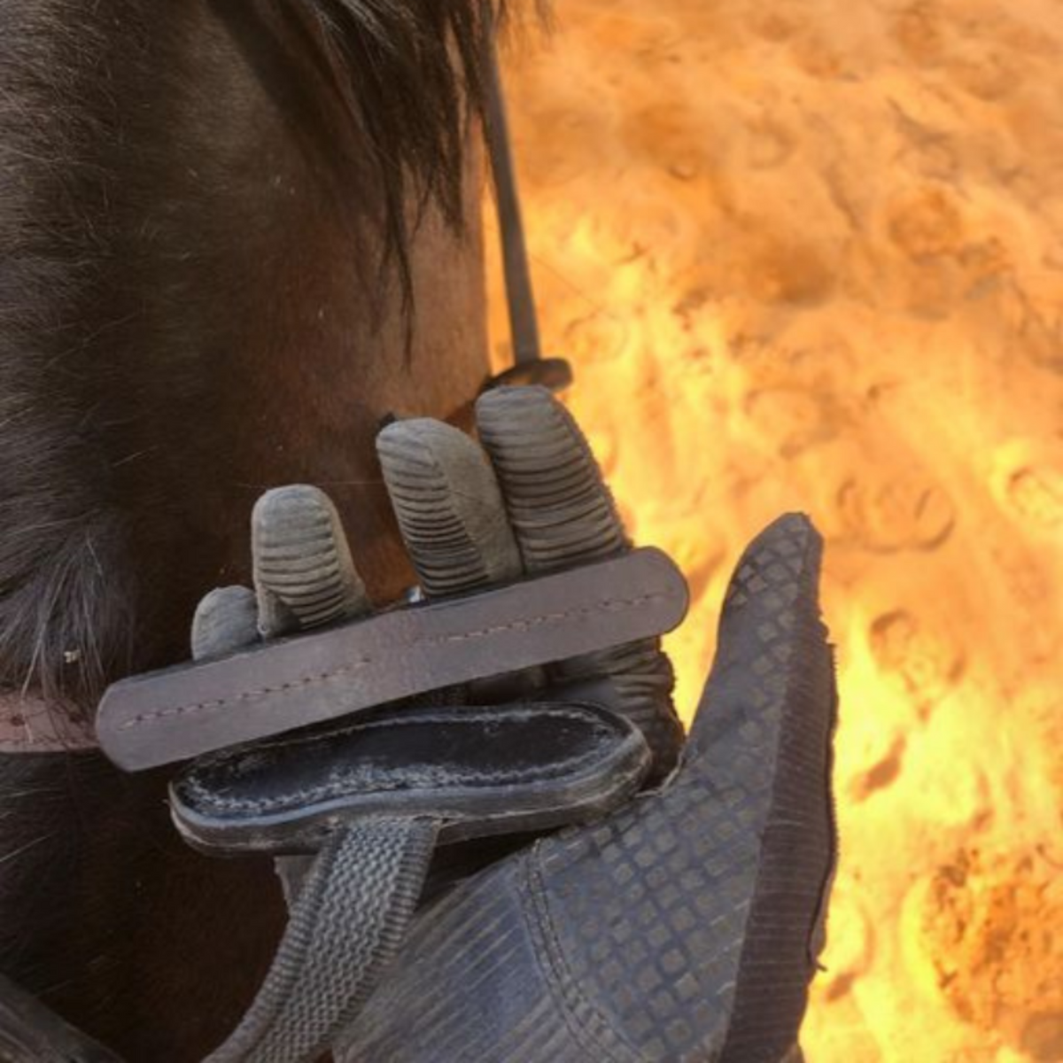 From the riders point of view, it is the hand attachment of the correct connect breastplate.