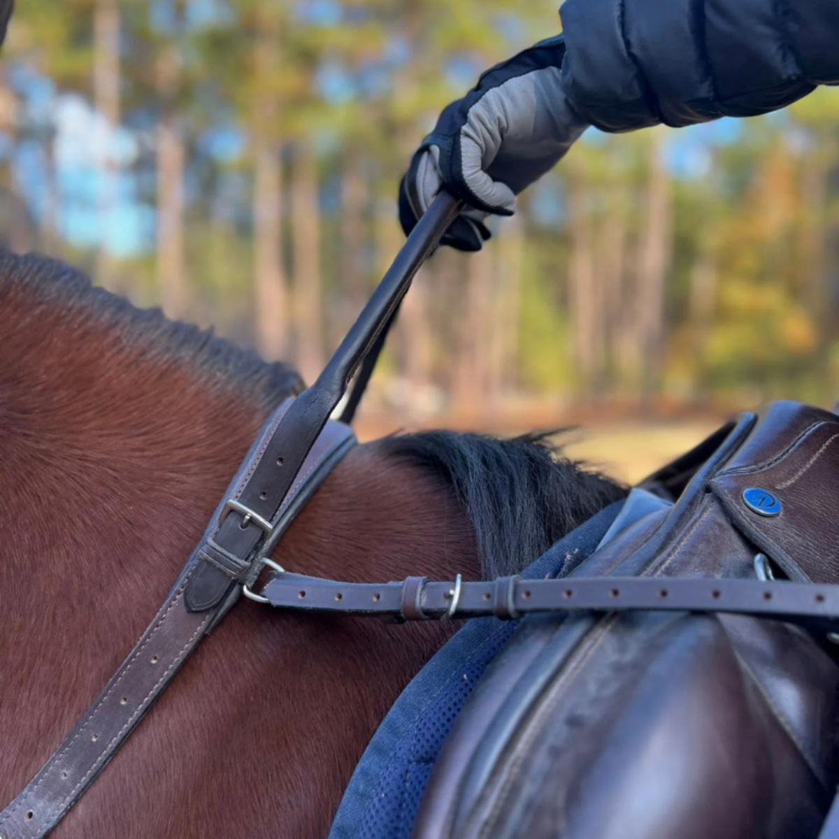 A leather neck strap with rolled leather handle, extending in length to provide more security for the rider.