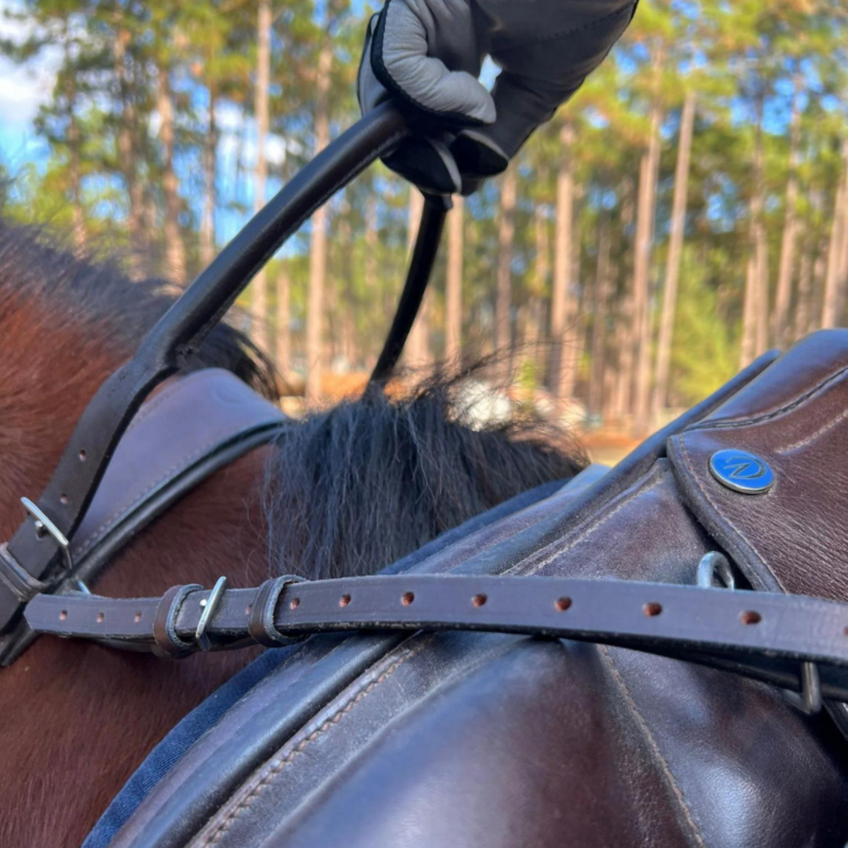 Another view of a leather neck strap with rolled leather handle. 